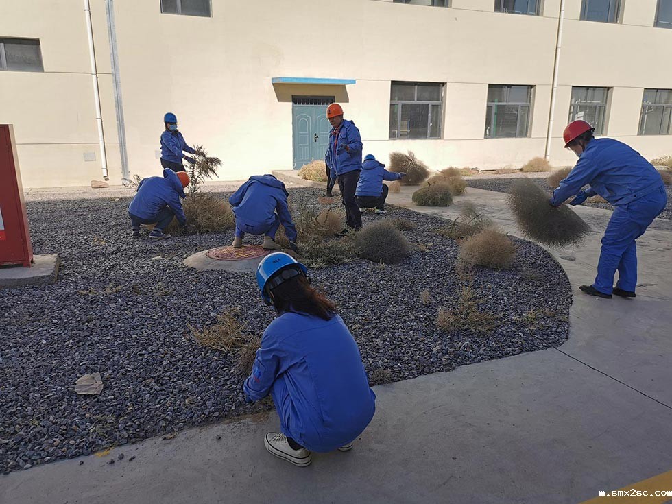 江苏新利体育首页最新APP工厂