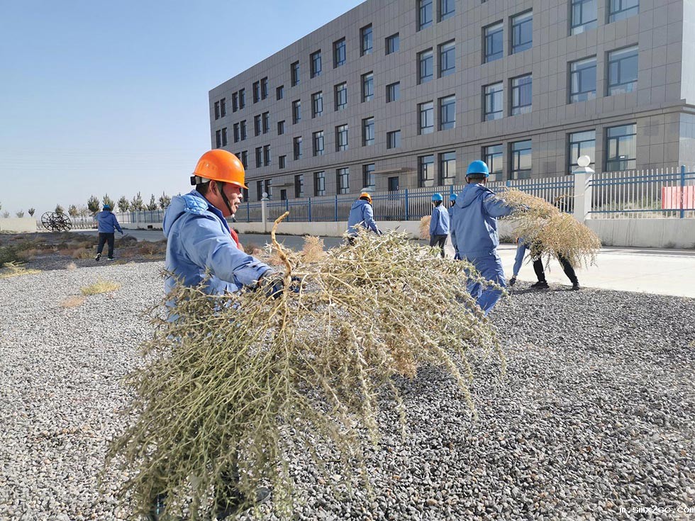 新利体育首页最新APP厂除草活动