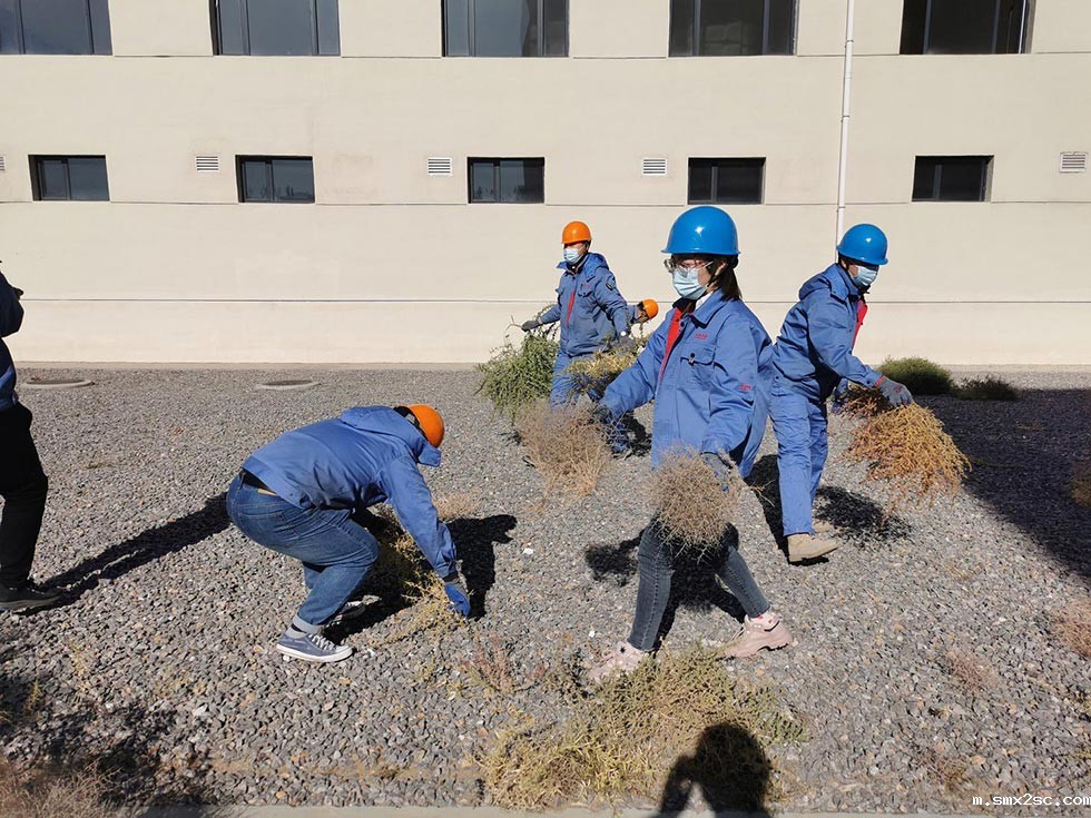 厂区清理枯草落叶