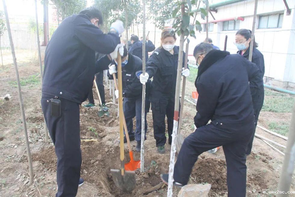 冲床厂植树活动