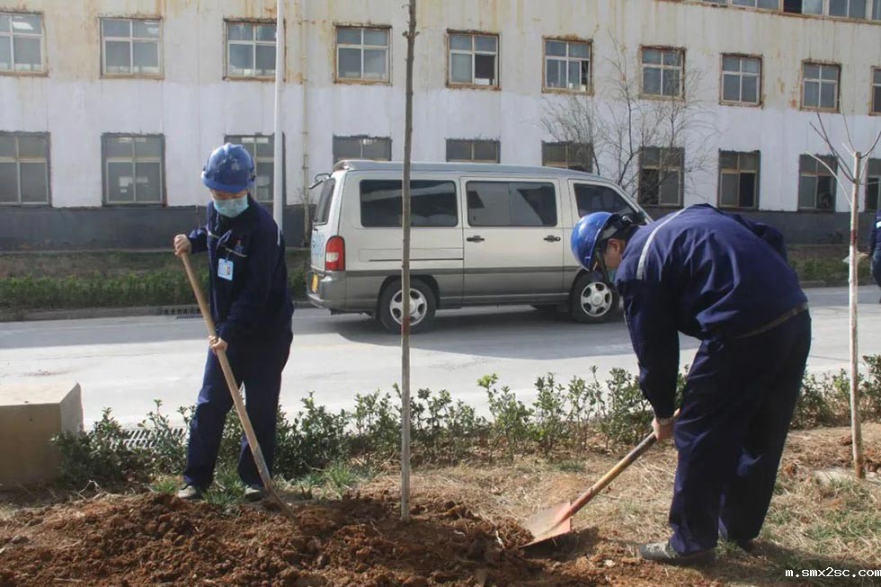 新利体育首页最新APP厂家植树